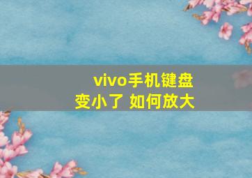 vivo手机键盘变小了 如何放大